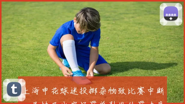 上海申花球迷投掷杂物致比赛中断,足协开出空场罚单引发处罚力度争议