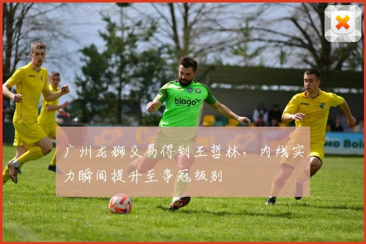 广州龙狮交易得到王哲林,内线实力瞬间提升至争冠级别